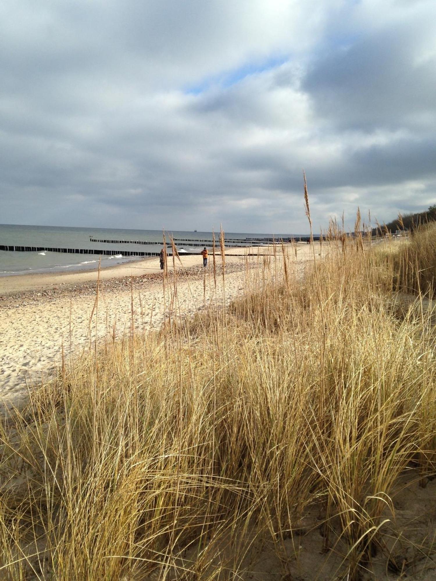 Ostseebad Kühlungsborn Ferienhaus Nele מראה חיצוני תמונה